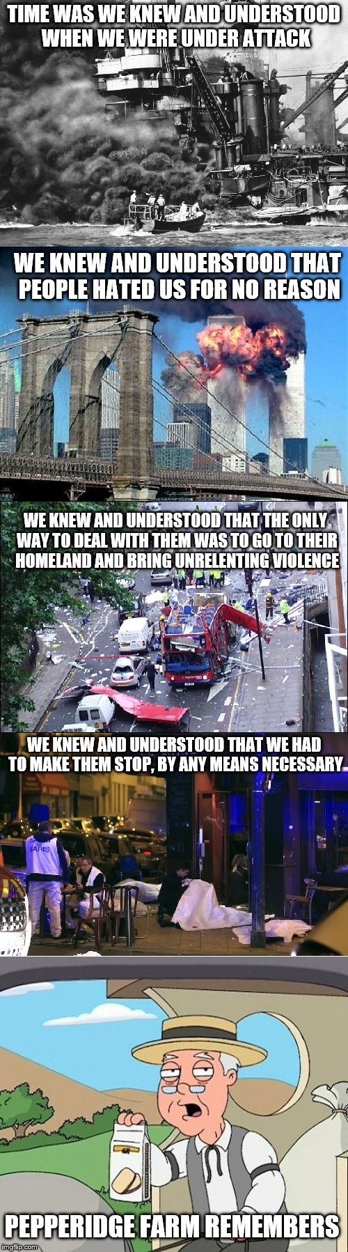 We need to stop these terrorists, any way we can... | TIME WAS WE KNEW AND UNDERSTOOD WHEN WE WERE UNDER ATTACK WE KNEW AND UNDERSTOOD THAT PEOPLE HATED US FOR NO REASON WE KNEW AND UNDERSTOOD T | image tagged in terrorism,politics | made w/ Imgflip meme maker