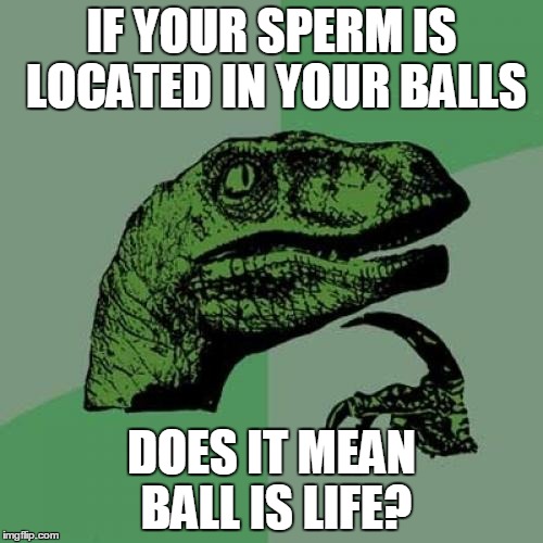 Philosoraptor | IF YOUR SPERM IS LOCATED IN YOUR BALLS DOES IT MEAN BALL IS LIFE? | image tagged in memes,philosoraptor | made w/ Imgflip meme maker