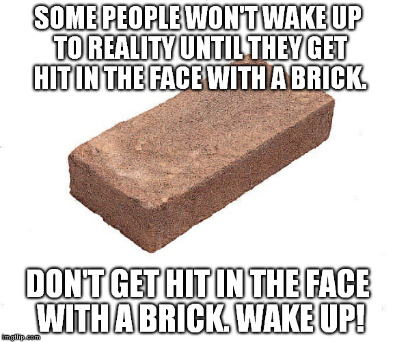 Brick | SOME PEOPLE WON'T WAKE UP TO REALITY UNTIL THEY GET HIT IN THE FACE WITH A BRICK. DON'T GET HIT IN THE FACE WITH A BRICK. WAKE UP! | image tagged in brick | made w/ Imgflip meme maker
