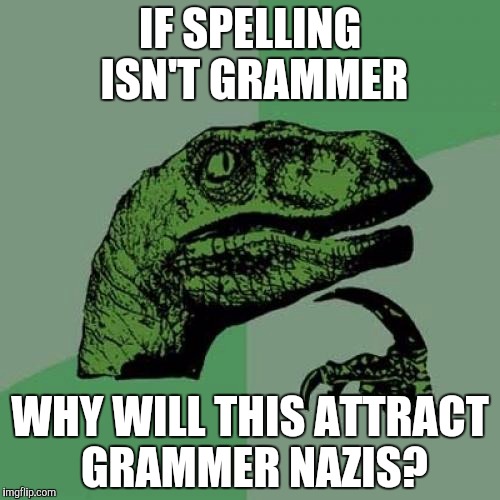 Philosoraptor Meme | IF SPELLING ISN'T GRAMMER WHY WILL THIS ATTRACT GRAMMER NAZIS? | image tagged in memes,philosoraptor | made w/ Imgflip meme maker