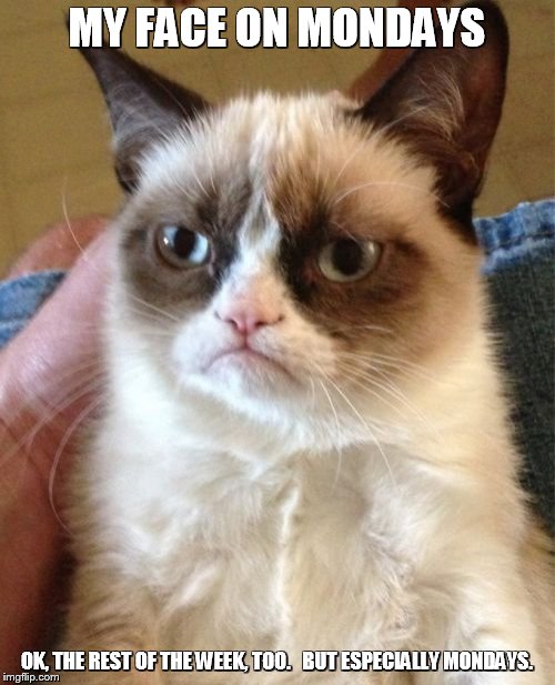 Grumpy Cat Meme | MY FACE ON MONDAYS OK, THE REST OF THE WEEK, TOO.   BUT ESPECIALLY MONDAYS. | image tagged in memes,grumpy cat | made w/ Imgflip meme maker