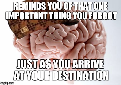 Scumbag Brain Meme | REMINDS YOU OF THAT ONE IMPORTANT THING YOU FORGOT JUST AS YOU ARRIVE AT YOUR DESTINATION | image tagged in memes,scumbag brain | made w/ Imgflip meme maker