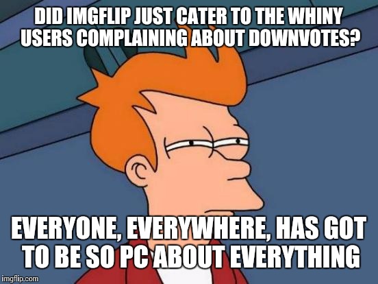 Futurama Fry Meme | DID IMGFLIP JUST CATER TO THE WHINY USERS COMPLAINING ABOUT DOWNVOTES? EVERYONE, EVERYWHERE, HAS GOT TO BE SO PC ABOUT EVERYTHING | image tagged in memes,futurama fry | made w/ Imgflip meme maker
