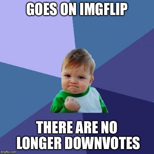Success Kid Meme | GOES ON IMGFLIP THERE ARE NO LONGER DOWNVOTES | image tagged in memes,success kid | made w/ Imgflip meme maker