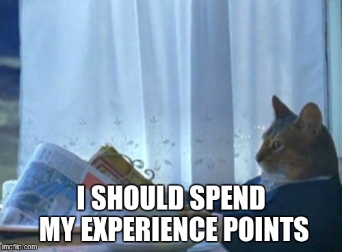 When i level up in any RPG ever | I SHOULD SPEND MY EXPERIENCE POINTS | image tagged in memes,i should buy a boat cat,rpg,role playing game,level | made w/ Imgflip meme maker
