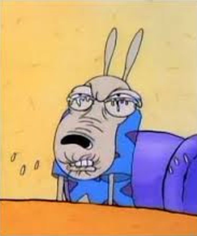 High Quality rocko sour face Blank Meme Template