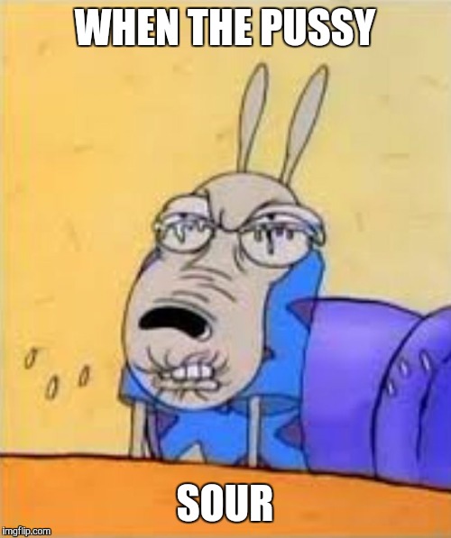 rocko sour face | WHEN THE PUSSY SOUR | image tagged in rocko sour face | made w/ Imgflip meme maker