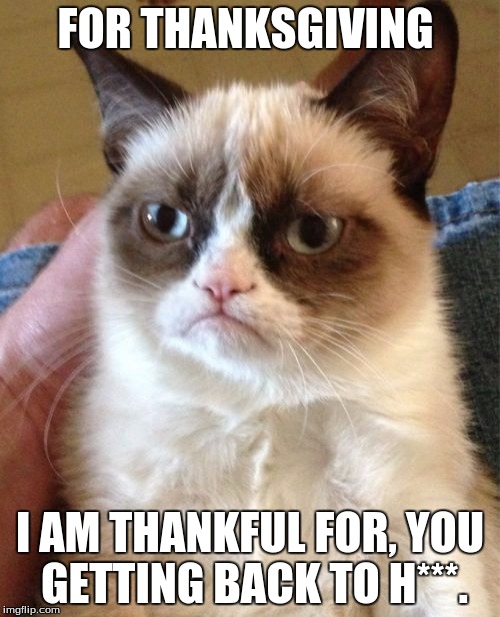 Grumpy Cat | FOR THANKSGIVING I AM THANKFUL FOR, YOU GETTING BACK TO H***. | image tagged in memes,grumpy cat | made w/ Imgflip meme maker