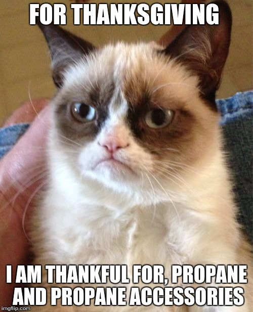 Grumpy Cat | FOR THANKSGIVING I AM THANKFUL FOR, PROPANE AND PROPANE ACCESSORIES | image tagged in memes,grumpy cat | made w/ Imgflip meme maker