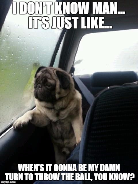 Introspective Pug | I DON'T KNOW MAN... IT'S JUST LIKE... WHEN'S IT GONNA BE MY DAMN TURN TO THROW THE BALL, YOU KNOW? | image tagged in introspective pug | made w/ Imgflip meme maker