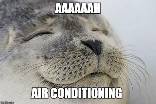 Satisfied Seal | AAAAAAH AIR CONDITIONING | image tagged in memes,satisfied seal | made w/ Imgflip meme maker