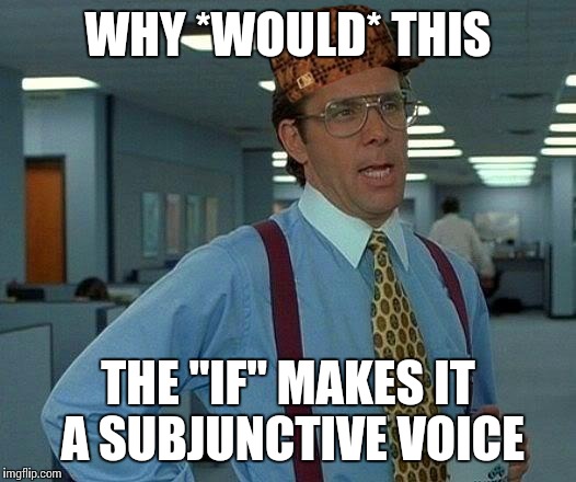 That Would Be Great Meme | WHY *WOULD* THIS THE "IF" MAKES IT A SUBJUNCTIVE VOICE | image tagged in memes,that would be great,scumbag | made w/ Imgflip meme maker