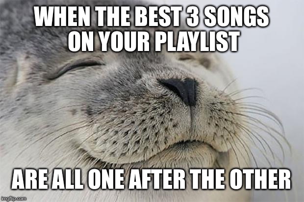 Satisfied Seal Meme | WHEN THE BEST 3 SONGS ON YOUR PLAYLIST ARE ALL ONE AFTER THE OTHER | image tagged in memes,satisfied seal | made w/ Imgflip meme maker