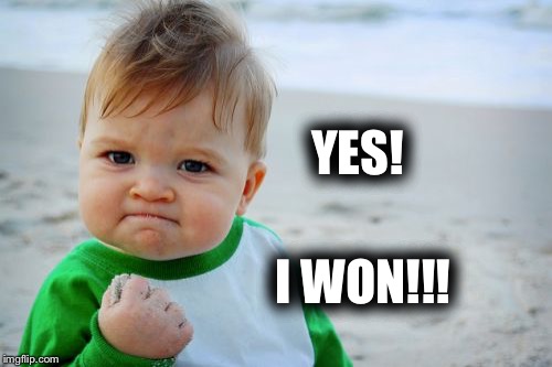 Success Kid Original | YES! I WON!!! | image tagged in memes,success kid original | made w/ Imgflip meme maker