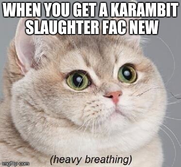 Yes. | WHEN YOU GET A KARAMBIT SLAUGHTER FAC NEW | image tagged in memes,heavy breathing cat | made w/ Imgflip meme maker