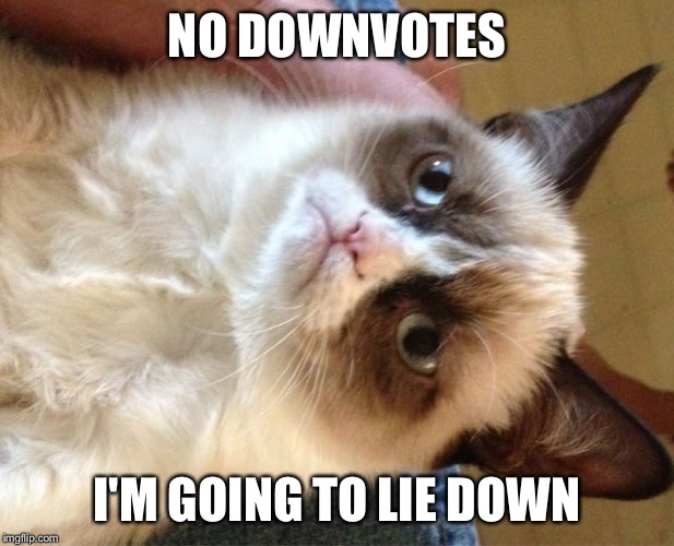 Grumpy Cat Meme | NO DOWNVOTES I'M GOING TO LIE DOWN | image tagged in memes,grumpy cat | made w/ Imgflip meme maker