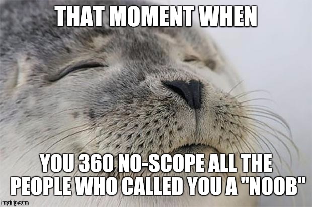 Satisfied Seal | THAT MOMENT WHEN YOU 360 NO-SCOPE ALL THE PEOPLE WHO CALLED YOU A "NOOB" | image tagged in memes,satisfied seal | made w/ Imgflip meme maker