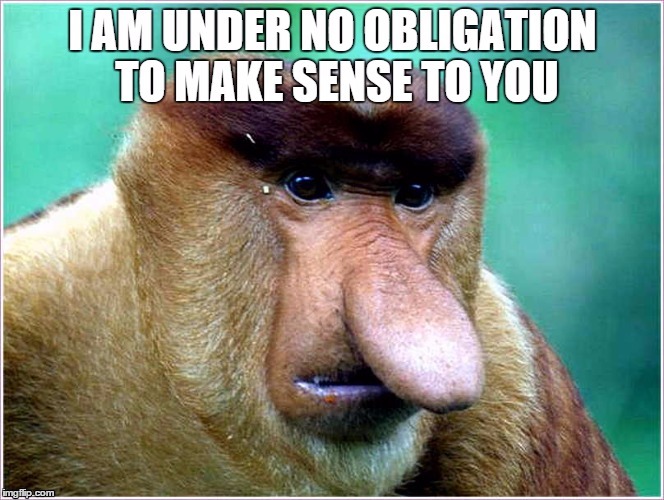 no obligations | image tagged in no obligation to make sense | made w/ Imgflip meme maker