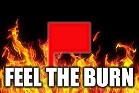 FEEL THE BURN | image tagged in fireflag | made w/ Imgflip meme maker
