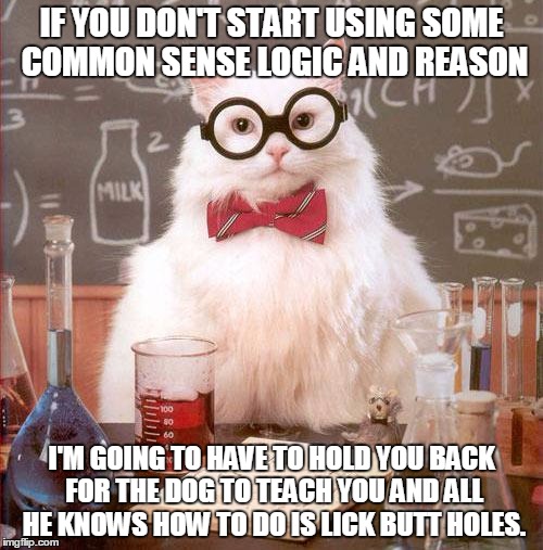 Science Cat | IF YOU DON'T START USING SOME COMMON SENSE LOGIC AND REASON I'M GOING TO HAVE TO HOLD YOU BACK FOR THE DOG TO TEACH YOU AND ALL HE KNOWS HOW | image tagged in science cat | made w/ Imgflip meme maker