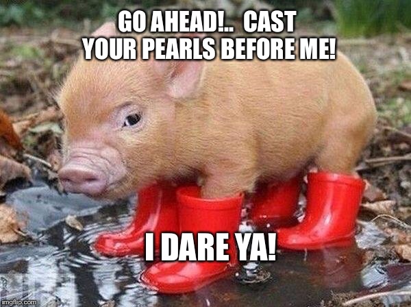 Pig In Boots | GO AHEAD!..  CAST YOUR PEARLS BEFORE ME! I DARE YA! | image tagged in pig in boots | made w/ Imgflip meme maker