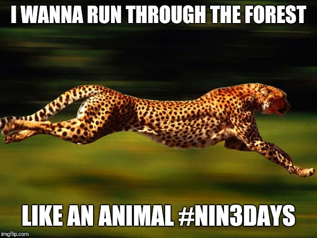 cheetah | I WANNA RUN THROUGH THE FOREST LIKE AN ANIMAL #NIN3DAYS | image tagged in cheetah | made w/ Imgflip meme maker