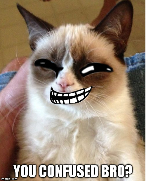 Troll Cat | YOU CONFUSED BRO? | image tagged in troll cat,memes | made w/ Imgflip meme maker