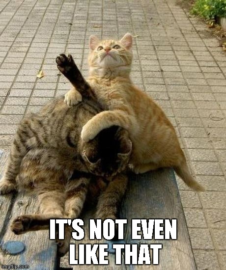 Cat Wrestling | IT'S NOT EVEN LIKE THAT | image tagged in cat wrestling | made w/ Imgflip meme maker