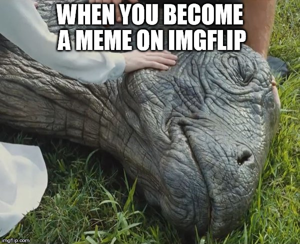 WHEN YOU BECOME A MEME ON IMGFLIP | image tagged in sad turtle | made w/ Imgflip meme maker