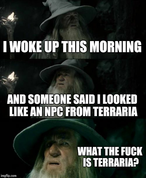 Confused Gandalf Meme | I WOKE UP THIS MORNING AND SOMEONE SAID I LOOKED LIKE AN NPC FROM TERRARIA WHAT THE F**K IS TERRARIA? | image tagged in memes,confused gandalf | made w/ Imgflip meme maker
