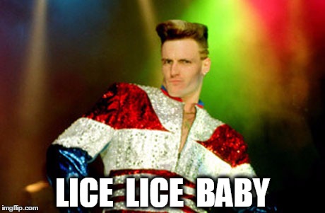LICE  LICE  BABY | made w/ Imgflip meme maker