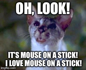 Lucky - Mouse on a stick! | OH, LOOK! IT'S MOUSE ON A STICK! I LOVE MOUSE ON A STICK! | image tagged in stuart little,siamese cat,cat,memes,meme,funny | made w/ Imgflip meme maker