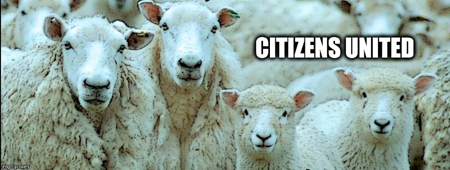 Sheeple | CITIZENS UNITED | image tagged in citizens united,sheeple,citizens,united | made w/ Imgflip meme maker