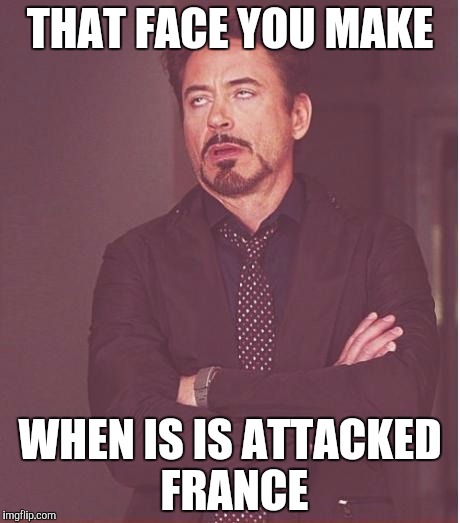 Face You Make Robert Downey Jr | THAT FACE YOU MAKE WHEN IS IS ATTACKED FRANCE | image tagged in memes,face you make robert downey jr | made w/ Imgflip meme maker