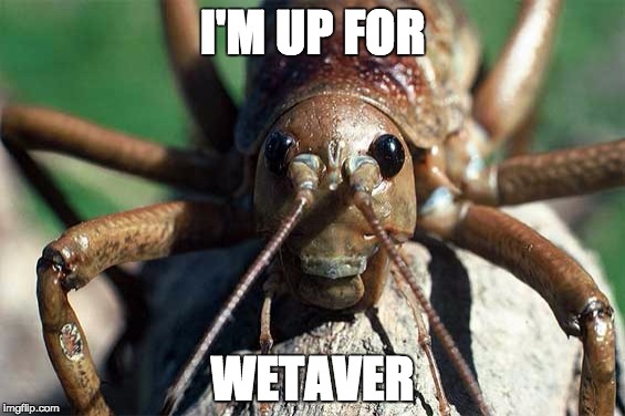 I'M UP FOR WETAVER | image tagged in upforweta | made w/ Imgflip meme maker