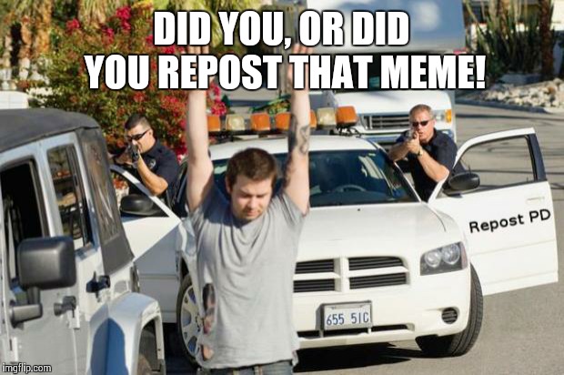 Repost Police | DID YOU, OR DID YOU REPOST THAT MEME! | image tagged in repost police | made w/ Imgflip meme maker