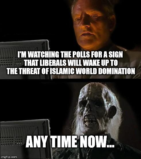 I'll Just Wait Here Meme | I'M WATCHING THE POLLS FOR A SIGN THAT LIBERALS WILL WAKE UP TO THE THREAT OF ISLAMIC WORLD DOMINATION ANY TIME NOW... | image tagged in memes,ill just wait here | made w/ Imgflip meme maker