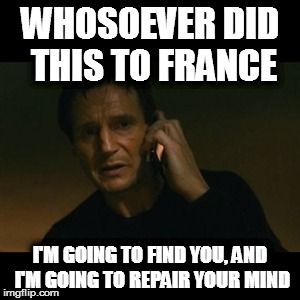 Paris attacks - Statements from world leaders and influential people | WHOSOEVER DID THIS TO FRANCE I'M GOING TO FIND YOU, AND I'M GOING TO REPAIR YOUR MIND | image tagged in memes,liam neeson taken | made w/ Imgflip meme maker