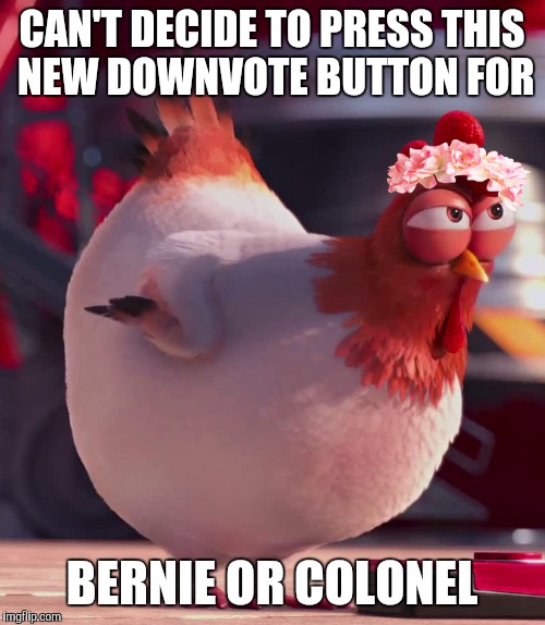 evil chicken | CAN'T DECIDE TO PRESS THIS NEW DOWNVOTE BUTTON FOR BERNIE OR COLONEL | image tagged in evil chicken | made w/ Imgflip meme maker