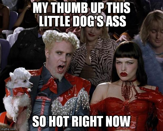 Mugatu So Hot Right Now | MY THUMB UP THIS LITTLE DOG'S ASS SO HOT RIGHT NOW | image tagged in memes,mugatu so hot right now | made w/ Imgflip meme maker