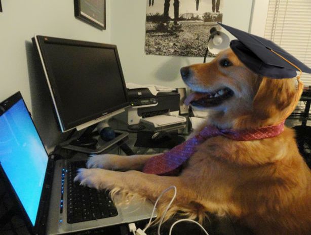 High Quality Have no idea graduated dog Blank Meme Template