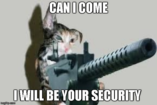 CAN I COME I WILL BE YOUR SECURITY | made w/ Imgflip meme maker