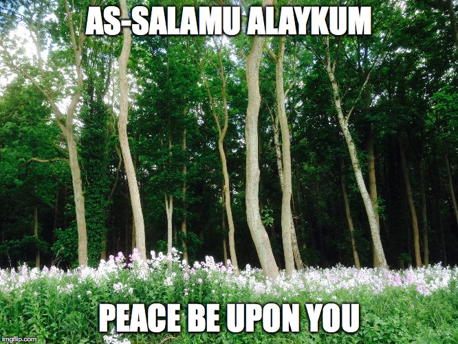 AS-SALAMU ALAYKUM PEACE BE UPON YOU | image tagged in as-salamu alaykum | made w/ Imgflip meme maker