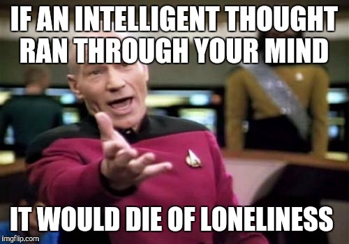 Picard Wtf | IF AN INTELLIGENT THOUGHT RAN THROUGH YOUR MIND IT WOULD DIE OF LONELINESS | image tagged in memes,picard wtf | made w/ Imgflip meme maker