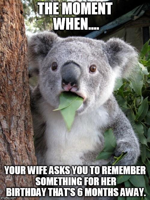 Surprised Koala | THE MOMENT WHEN.... YOUR WIFE ASKS YOU TO REMEMBER SOMETHING FOR HER BIRTHDAY THAT'S 6 MONTHS AWAY. | image tagged in memes,surprised koala | made w/ Imgflip meme maker
