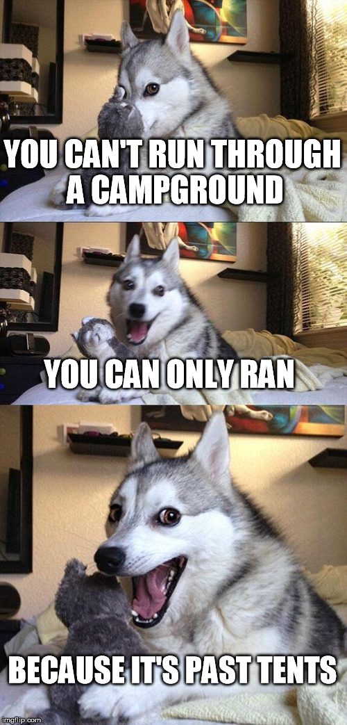 Bad Pun Dog | YOU CAN'T RUN THROUGH A CAMPGROUND YOU CAN ONLY RAN BECAUSE IT'S PAST TENTS | image tagged in memes,bad pun dog | made w/ Imgflip meme maker