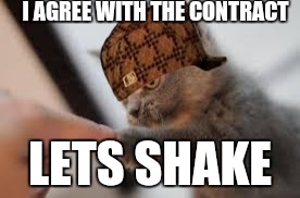 kitten fist bump | I AGREE WITH THE CONTRACT LETS SHAKE | image tagged in kitten fist bump,scumbag | made w/ Imgflip meme maker