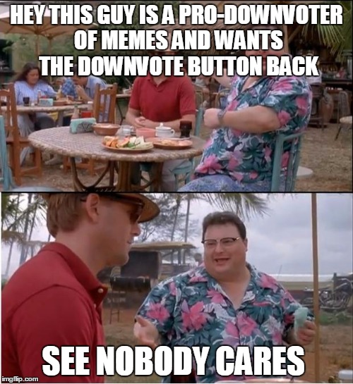 See Nobody Cares | HEY THIS GUY IS A PRO-DOWNVOTER OF MEMES AND WANTS THE DOWNVOTE BUTTON BACK SEE NOBODY CARES | image tagged in memes,see nobody cares | made w/ Imgflip meme maker