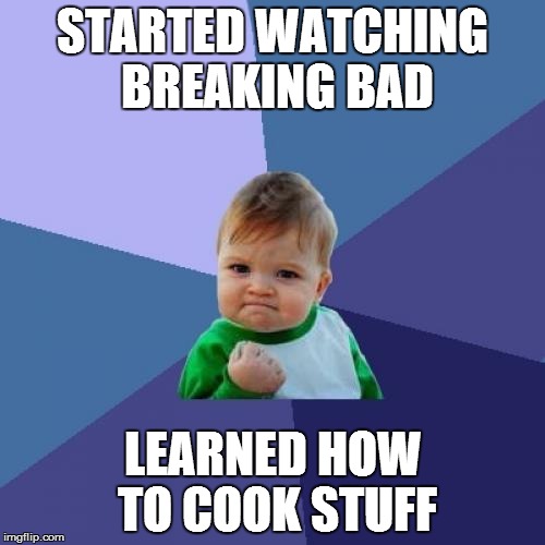 Success Kid Meme | STARTED WATCHING BREAKING BAD LEARNED HOW TO COOK STUFF | image tagged in memes,success kid | made w/ Imgflip meme maker