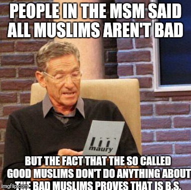 Maury Lie Detector Meme | PEOPLE IN THE MSM SAID ALL MUSLIMS AREN'T BAD BUT THE FACT THAT THE SO CALLED GOOD MUSLIMS DON'T DO ANYTHING ABOUT THE BAD MUSLIMS PROVES TH | image tagged in memes,maury lie detector | made w/ Imgflip meme maker